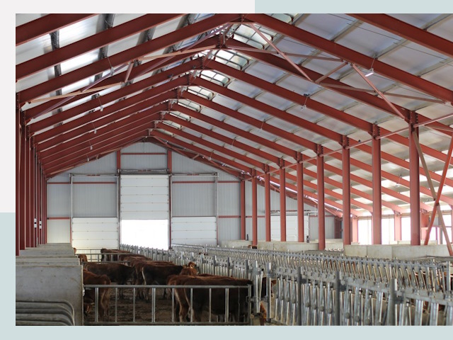 Строительство коровников в Балаково