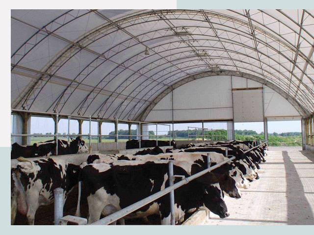 Тентовые коровники в Балаково